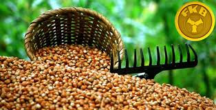 Üretici Kime İnanacağını Şaşırttı, Fiskobirlikte Rekolte Tahmini Yaptı