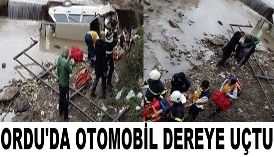 Ordu’da Otomobil dereye uçtu: 1 yaralı