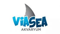 İstanbul’un en uzun su altı tüneline sahip akvaryumu ”Viasea” açılıyor